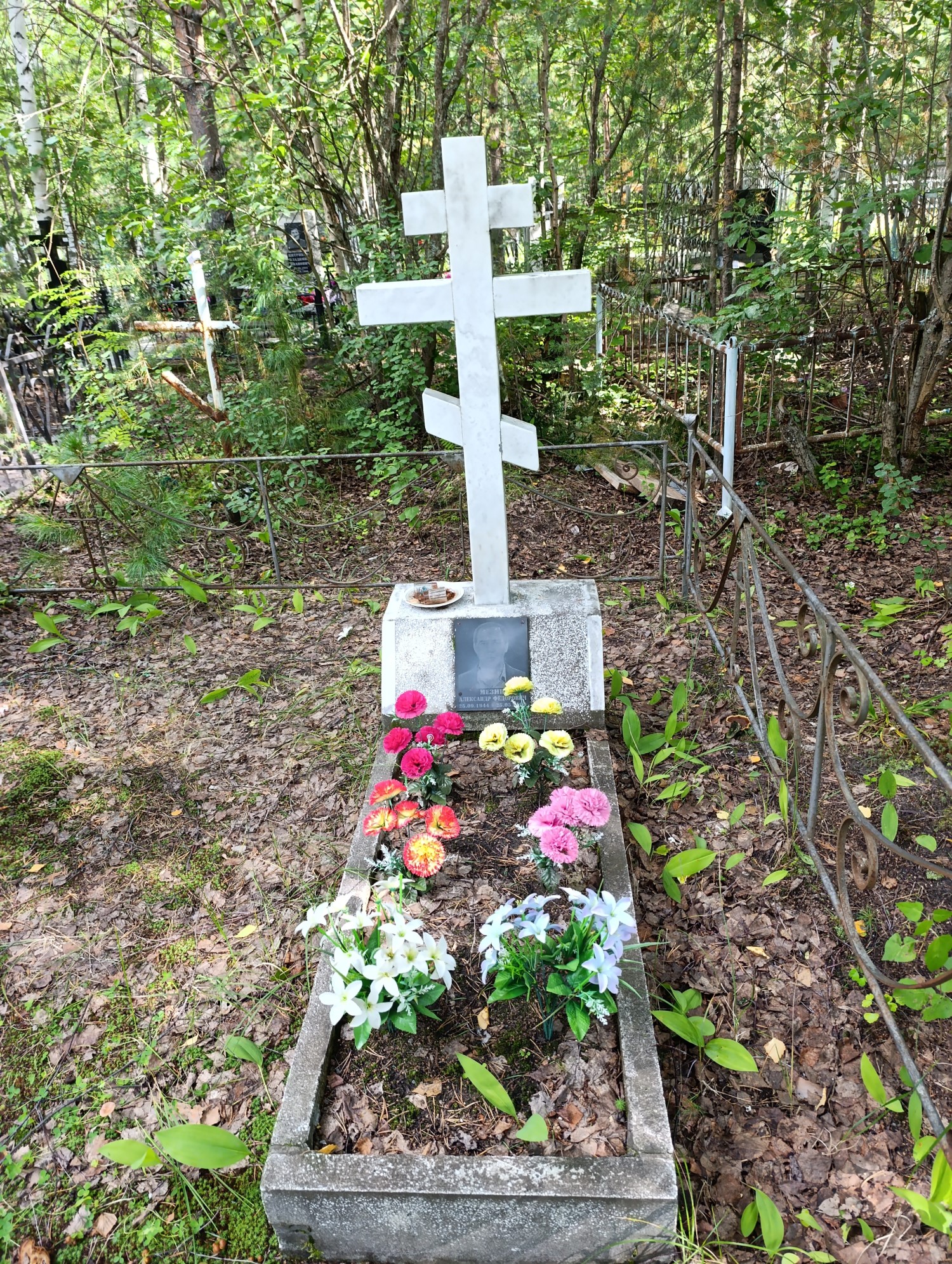 Мезин Александр Фёдорович