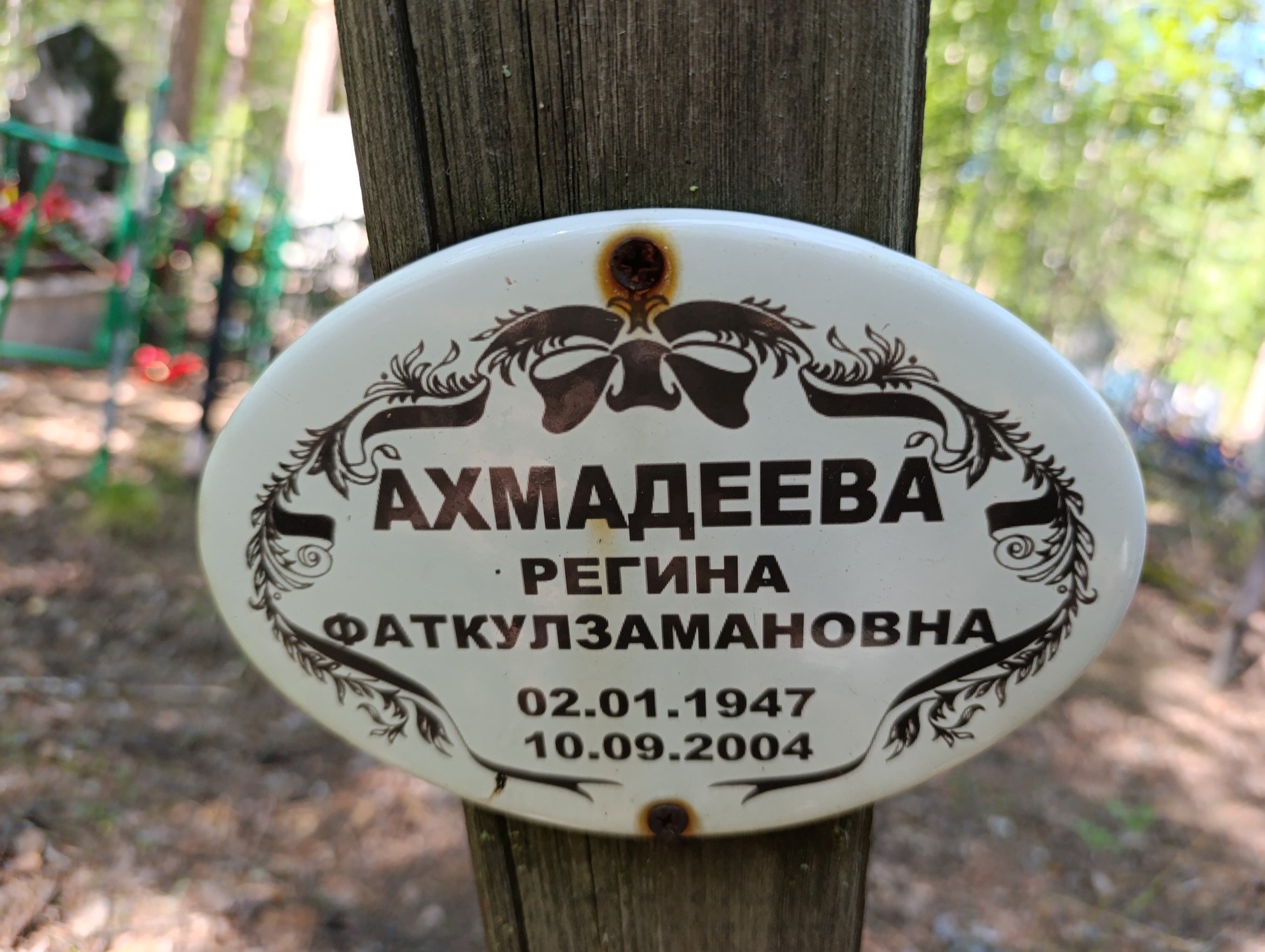 Ахмадеева Регина Фаткулзамановна