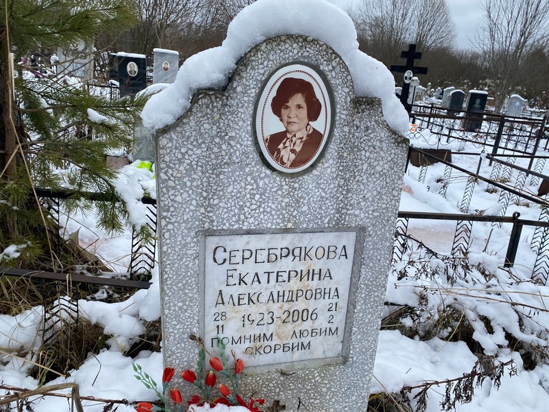 Серебрякова