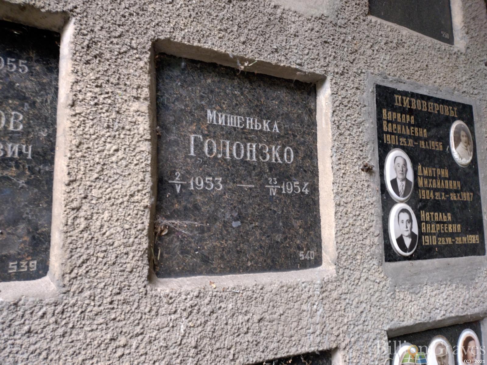 Голонзко Михаил