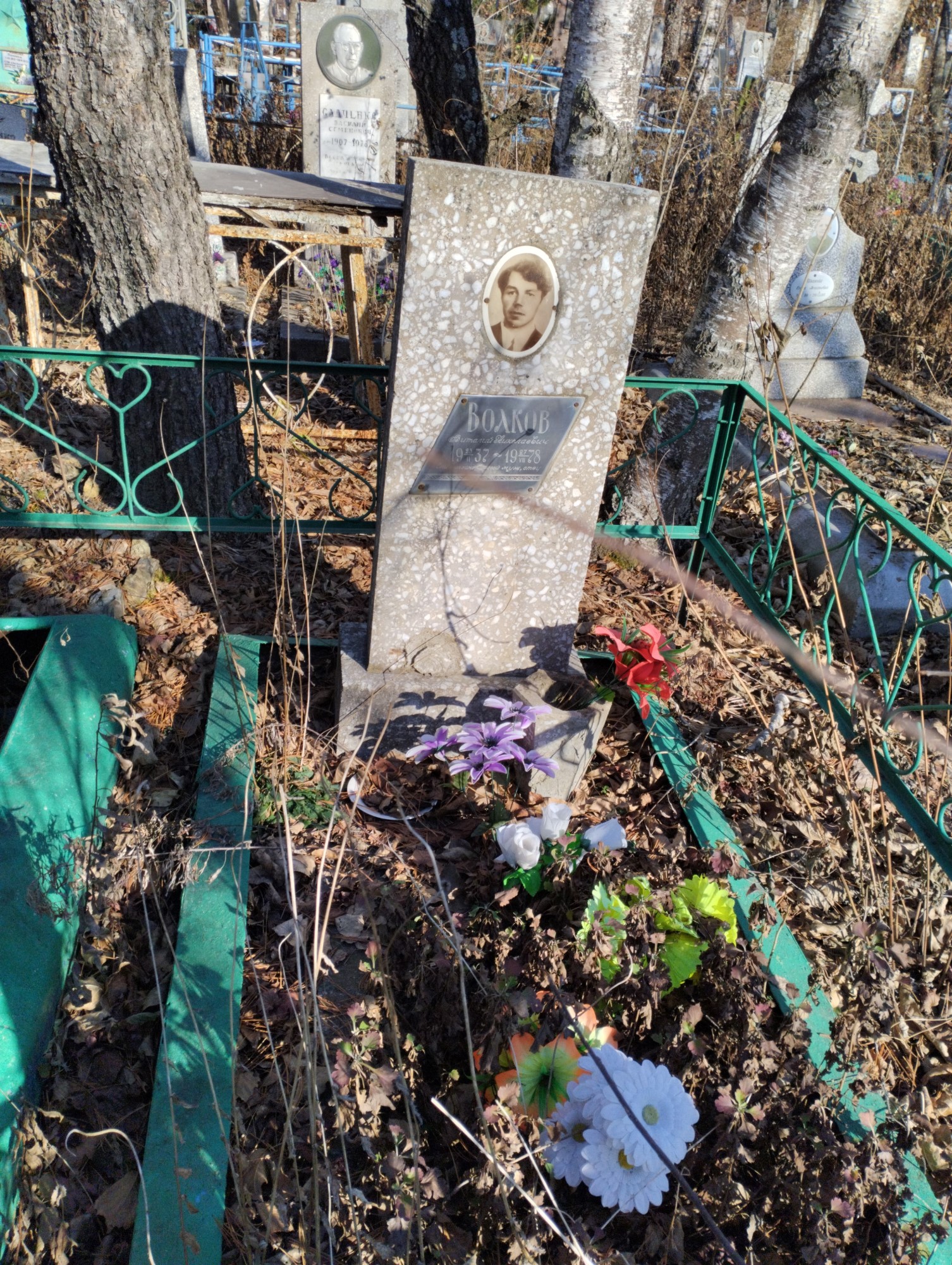 Волков Виталий Николаевич