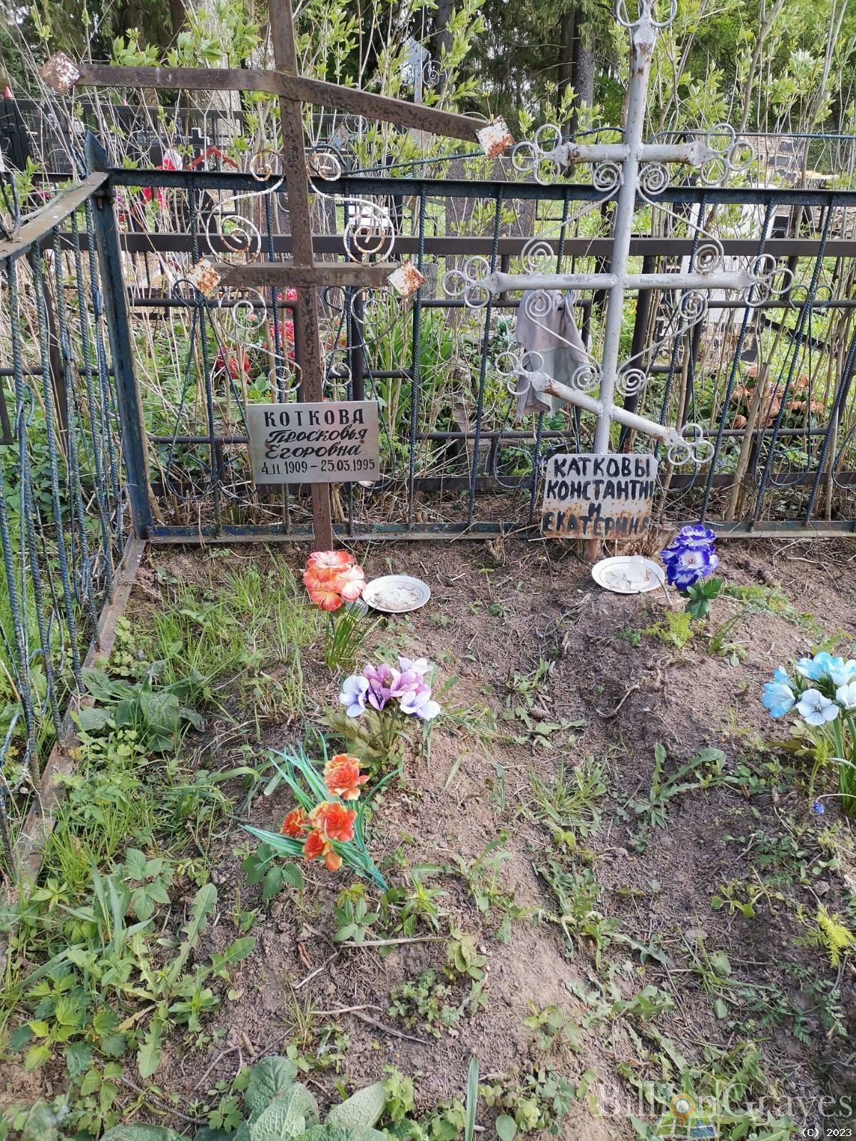 Коткова Просковья Егоровна