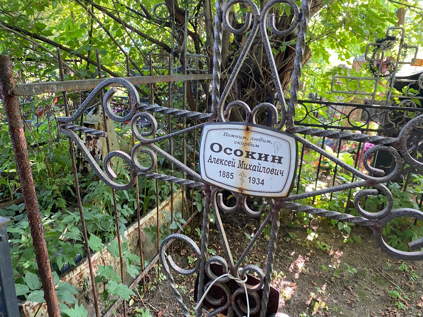 Осокин