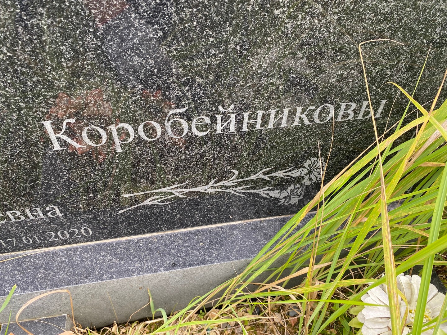 Коробейникова