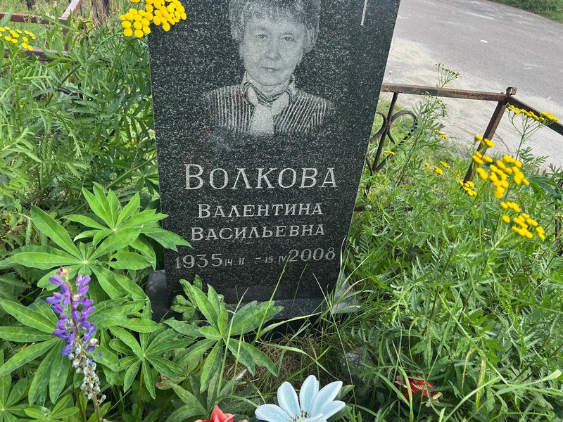 Волкова
