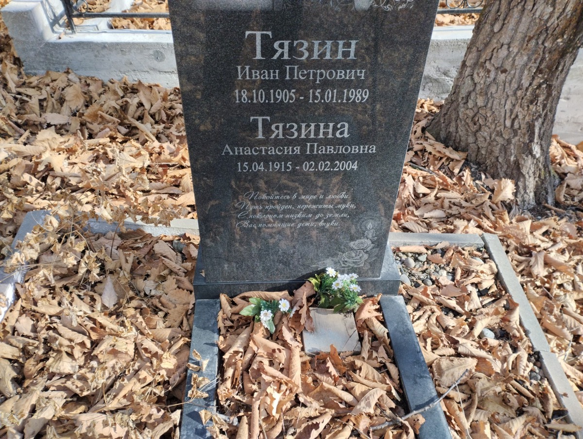 Тязина Анастасия Павловна