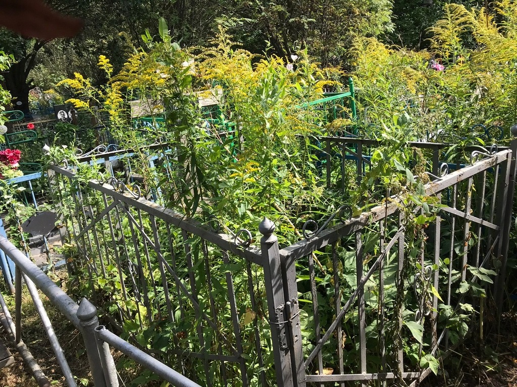 Петрова Елена Васильевна