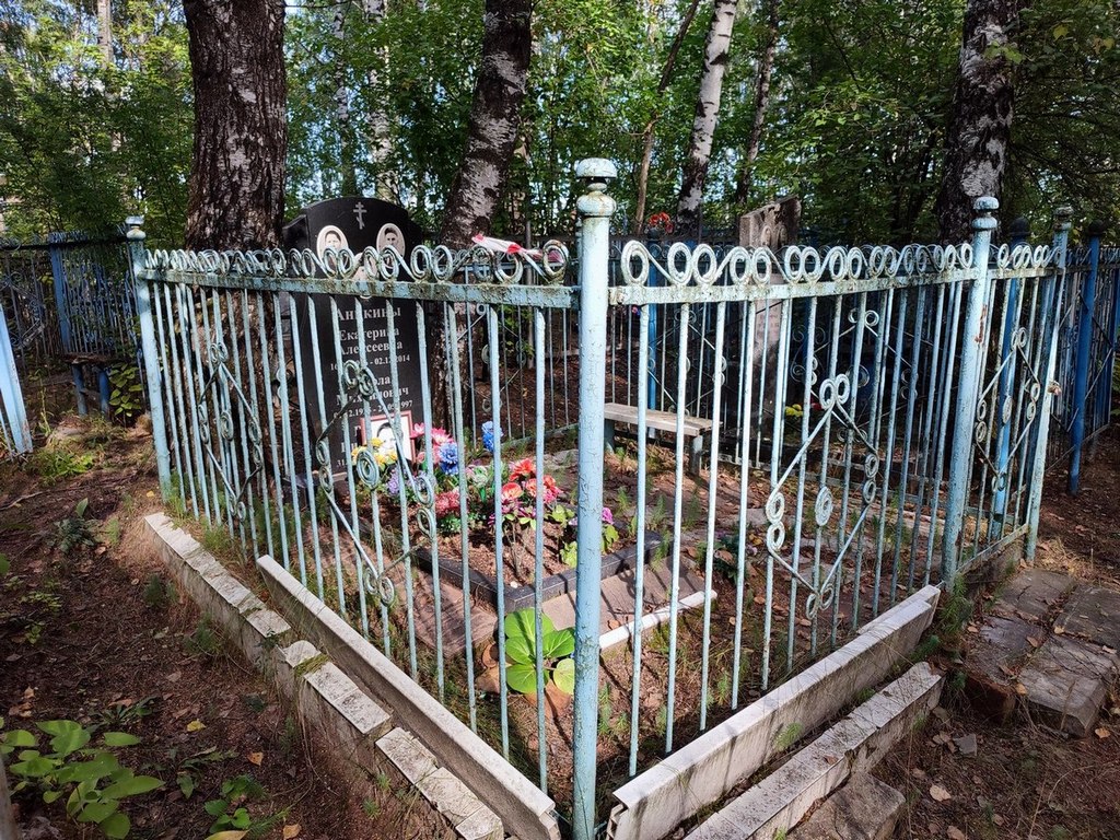 Аникин Виктор Николаевич