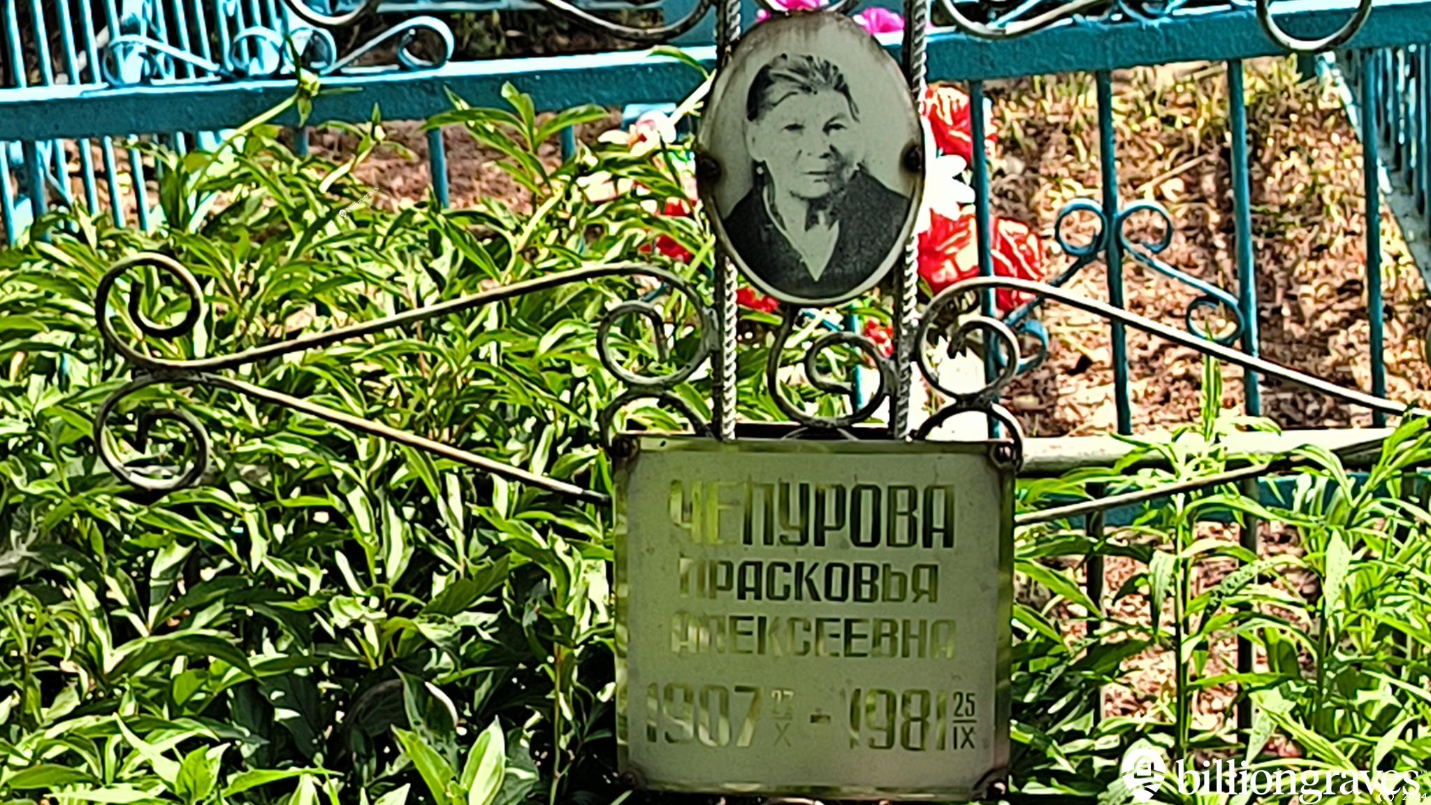 Чепурова Прасковья Алексеевна
