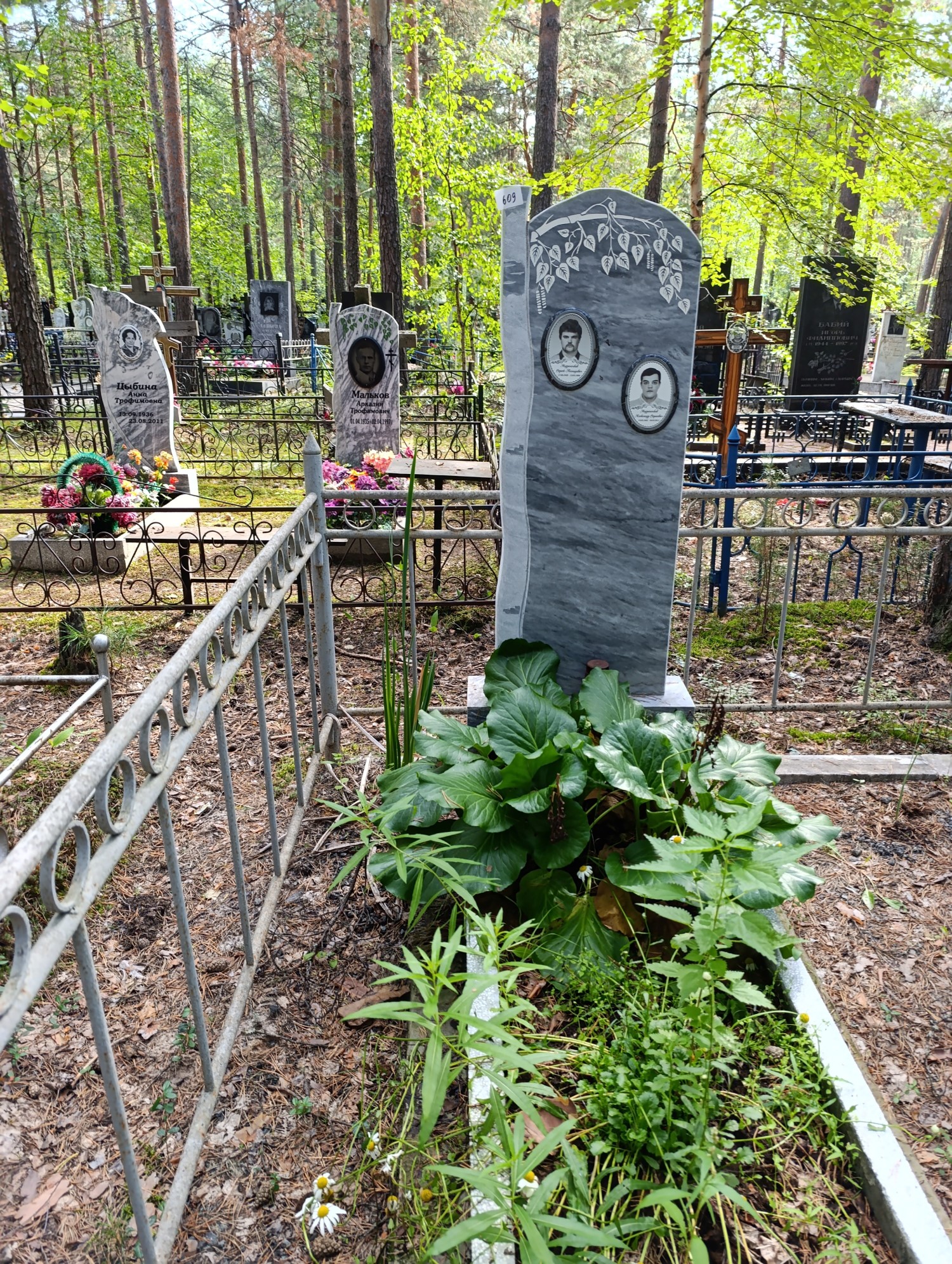 Андроненков Сергей Леонидович