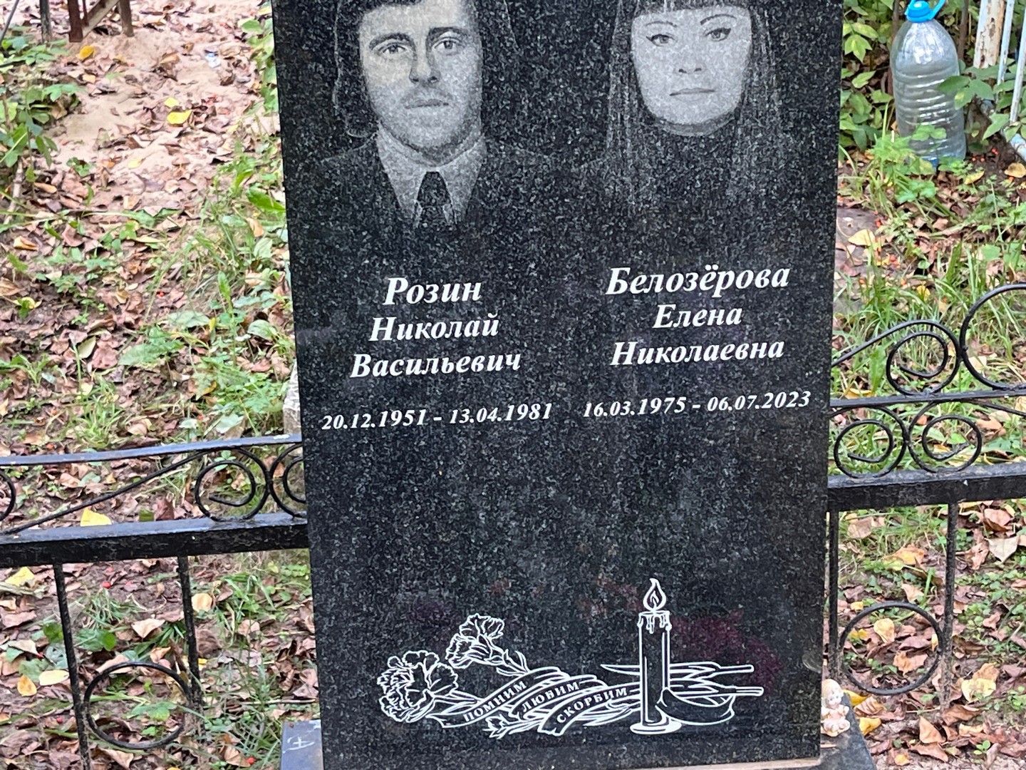Розин