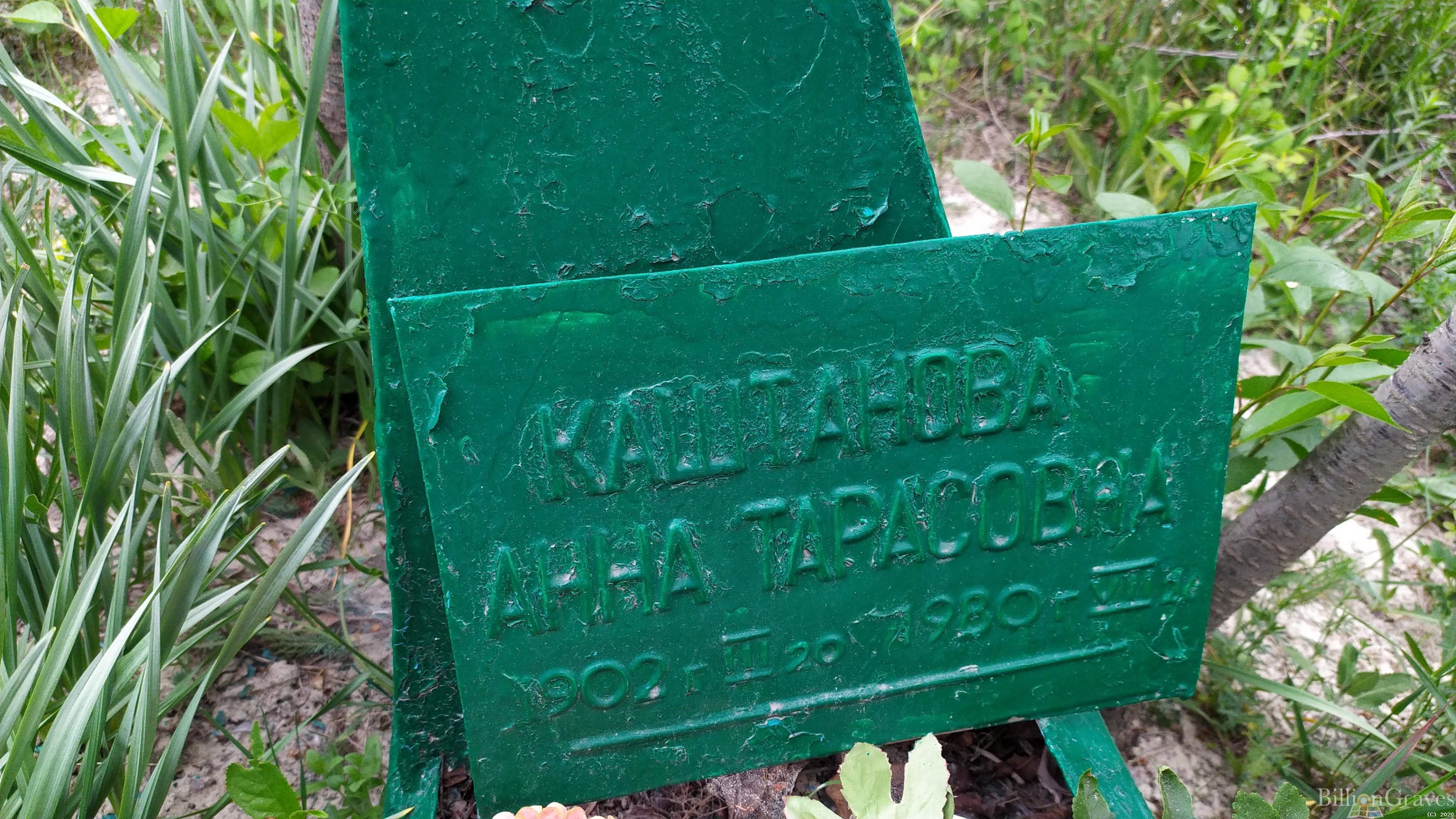 Каштанова Анна Тарасовна