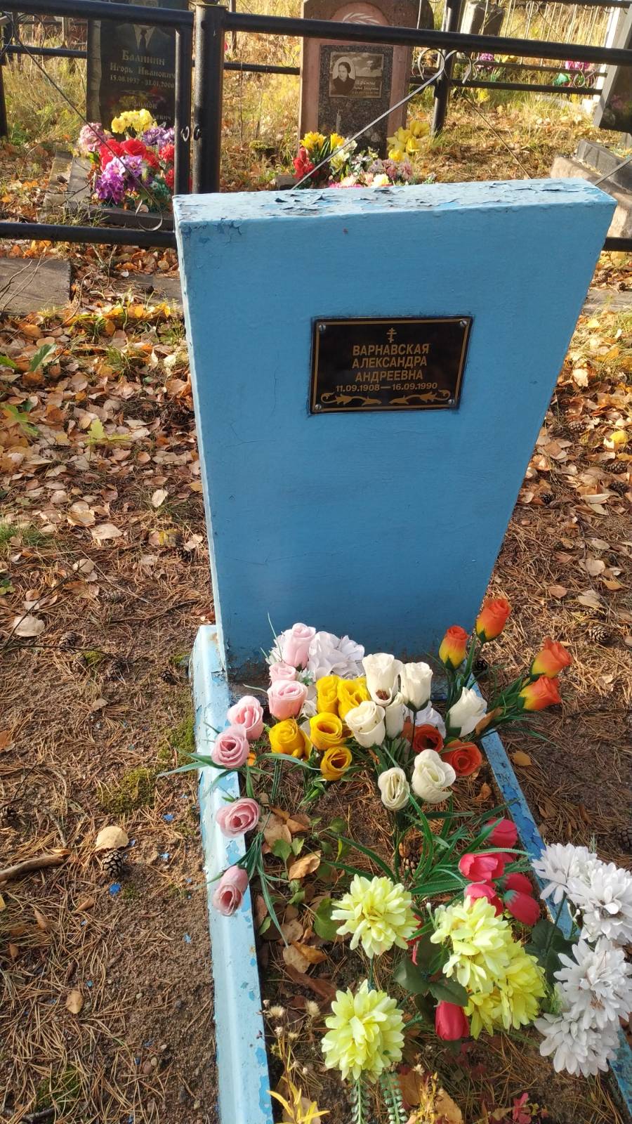Варнавская Александра Андреевна