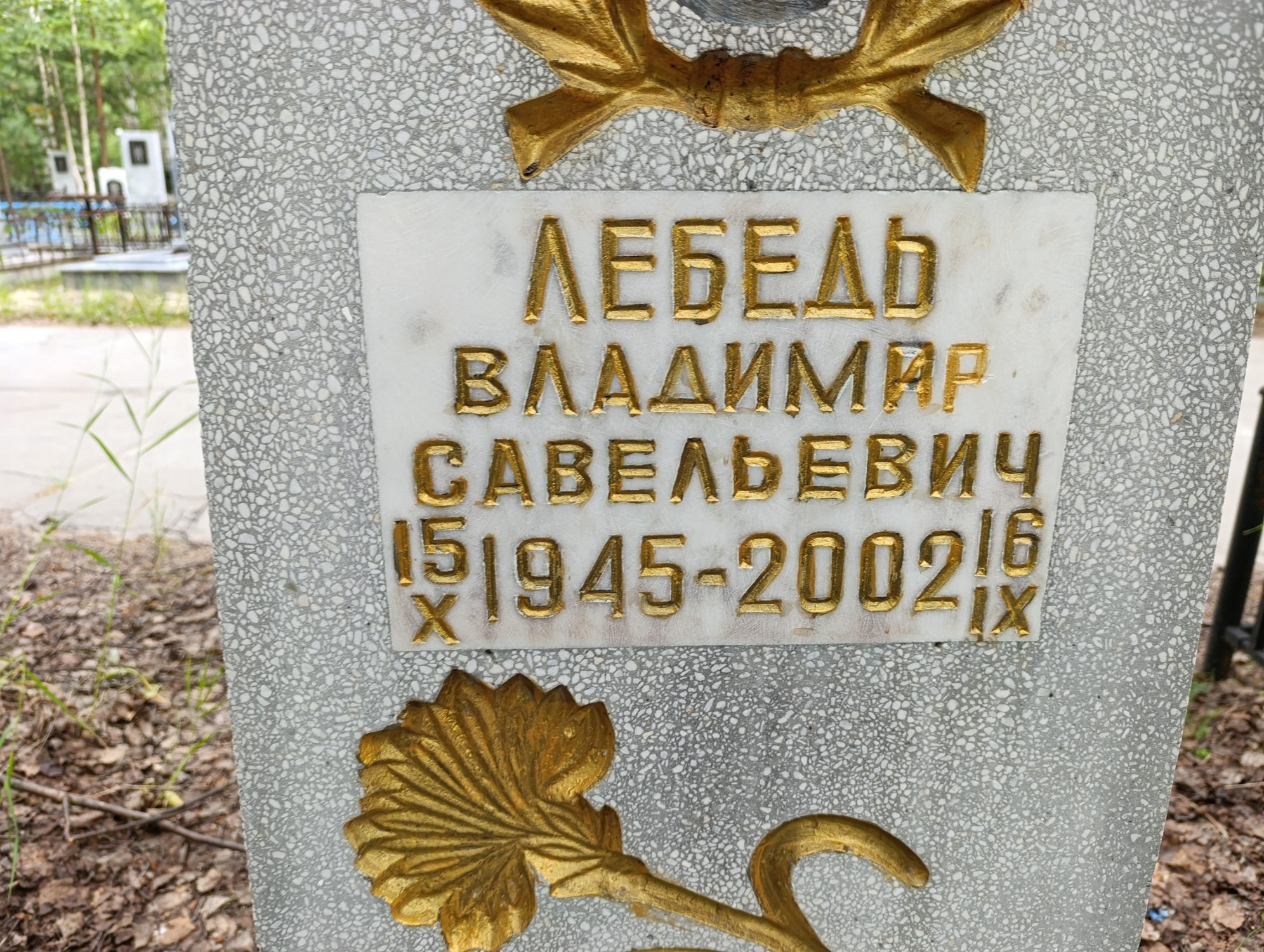Лебедь Владимир Савельевич