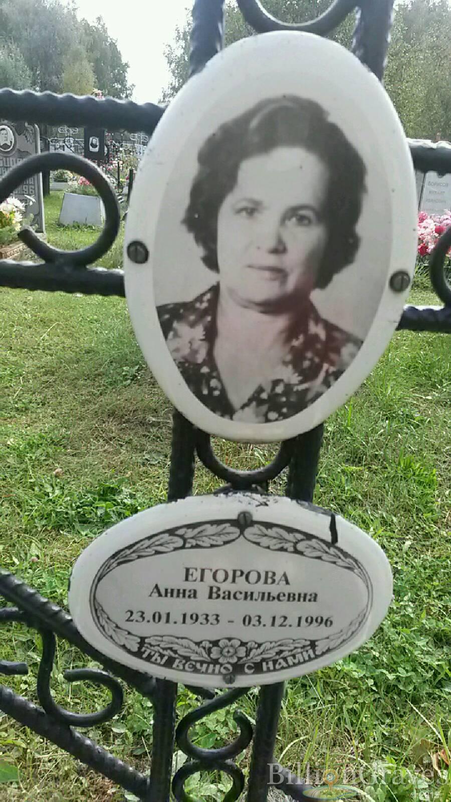 Егорова Анна Васильевна