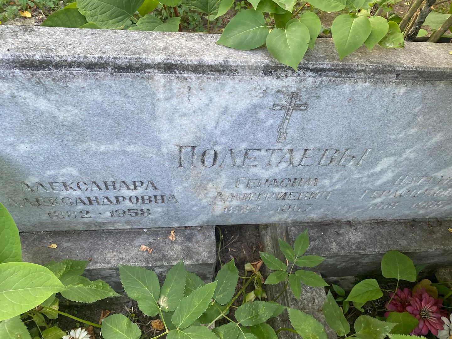 Полетаева Александра Александровна
