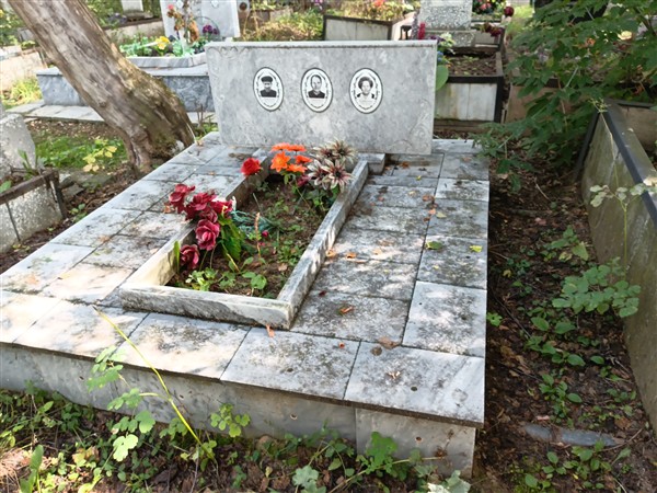 Замоткина Ольга Вавиловна