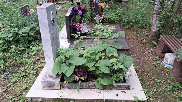 Караваев Владимир Аверьянович