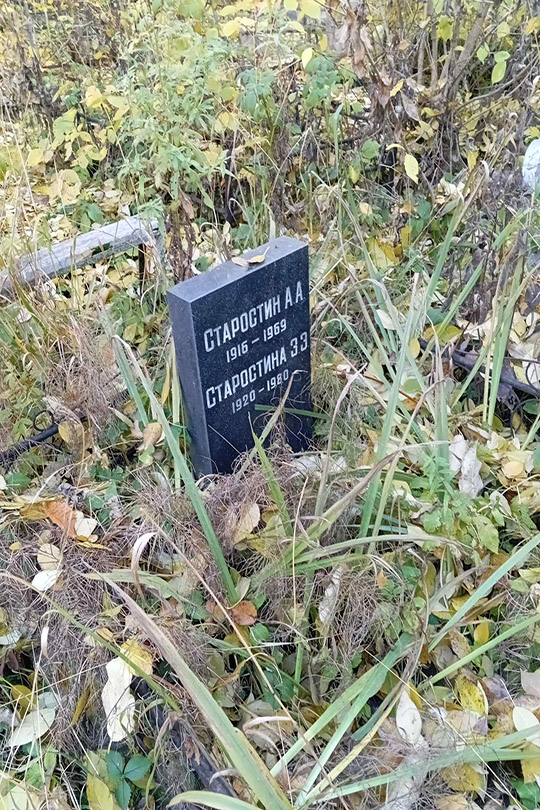Старостин А. А.