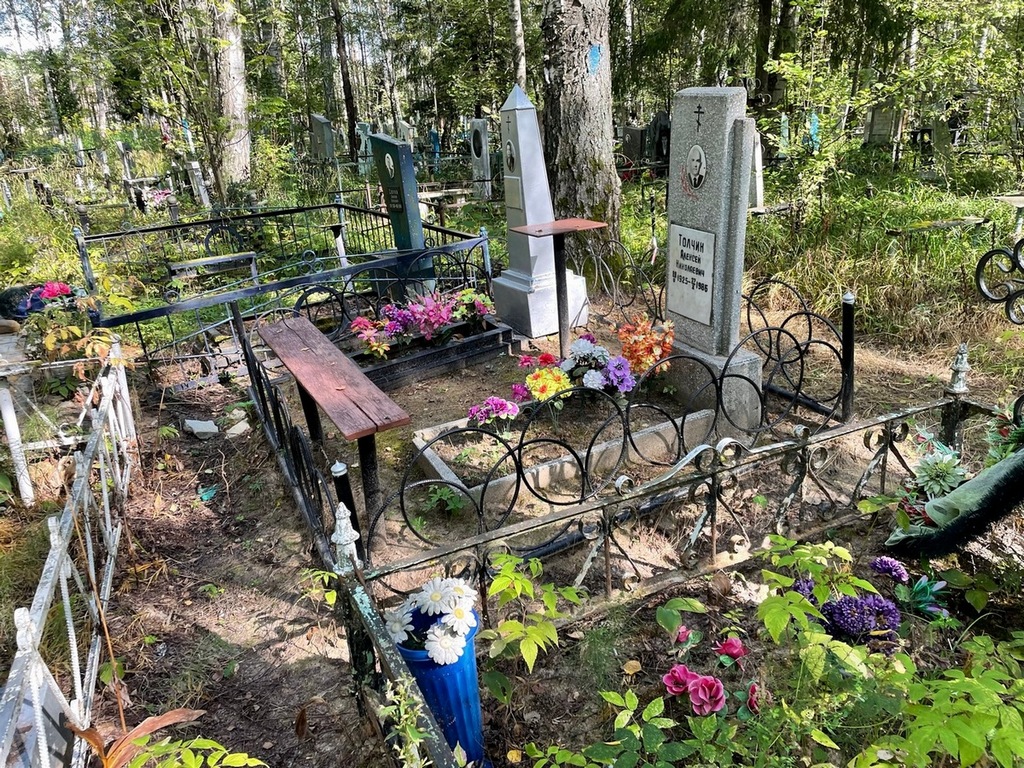 Толчин Алексей Николаевич