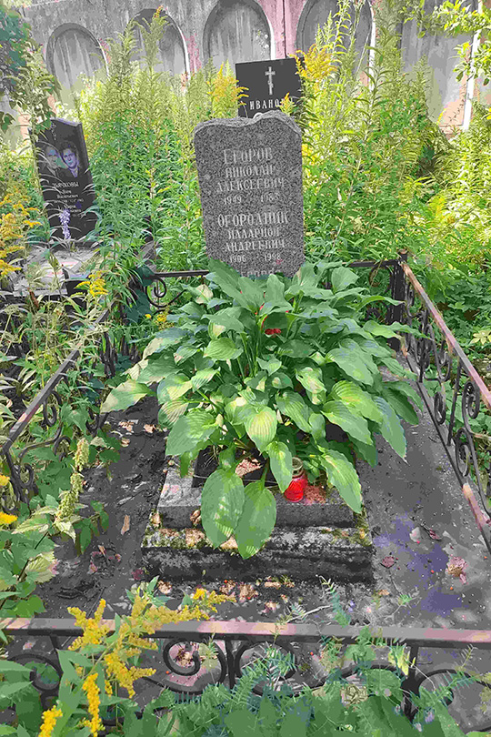 Егорова Жанна Илларионовна