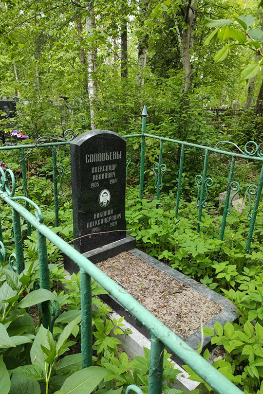 Соловьев Николай Александрович