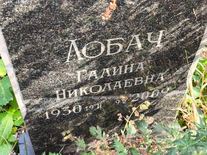 Лобач