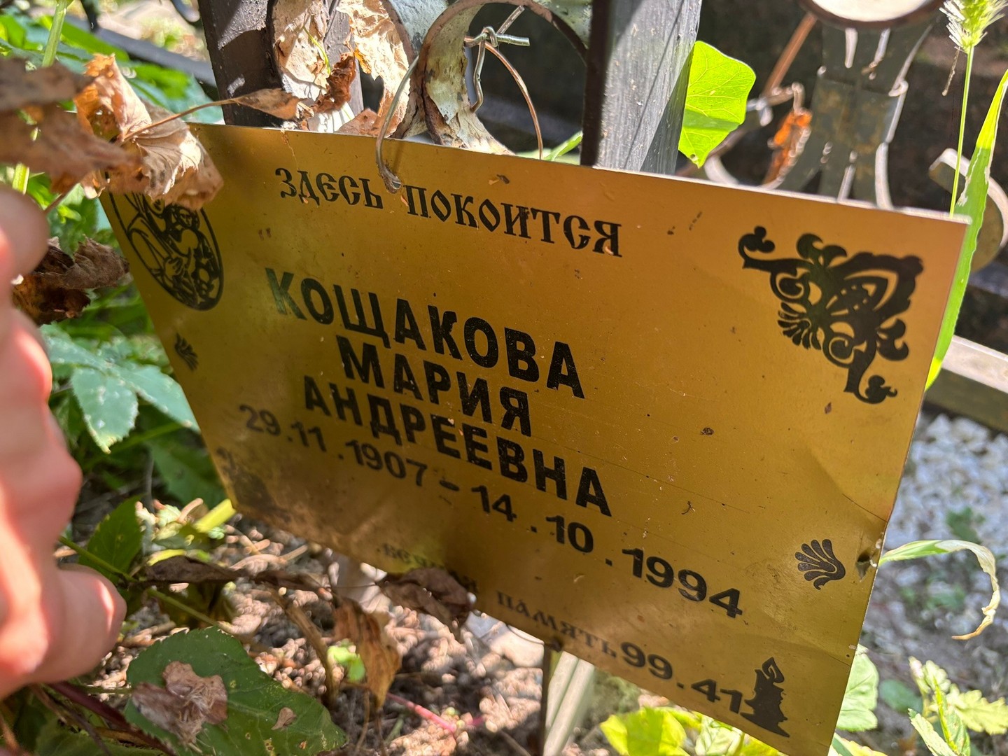 Кощакова