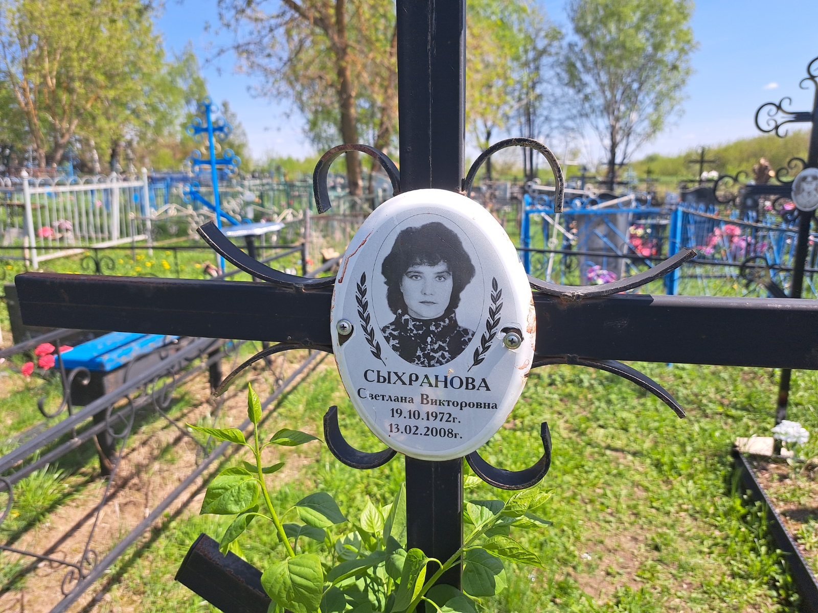 Сыхранова Светлана Викторовна