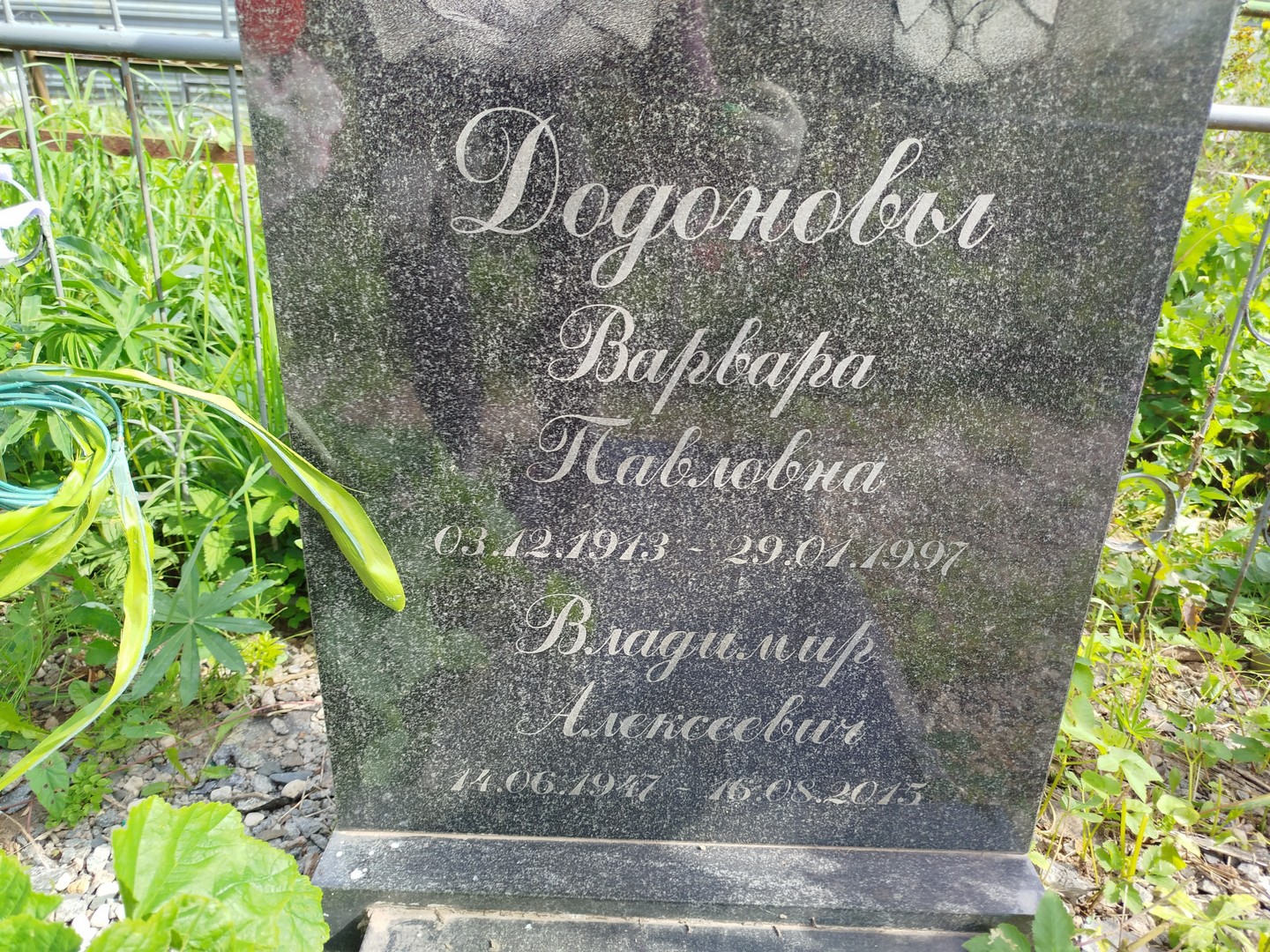 Додонов