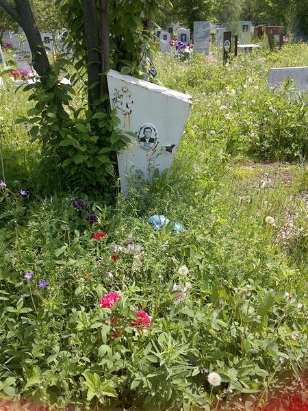 Домрачев Николай Иванович