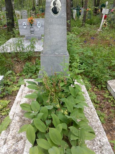 Потоскуев Владенька