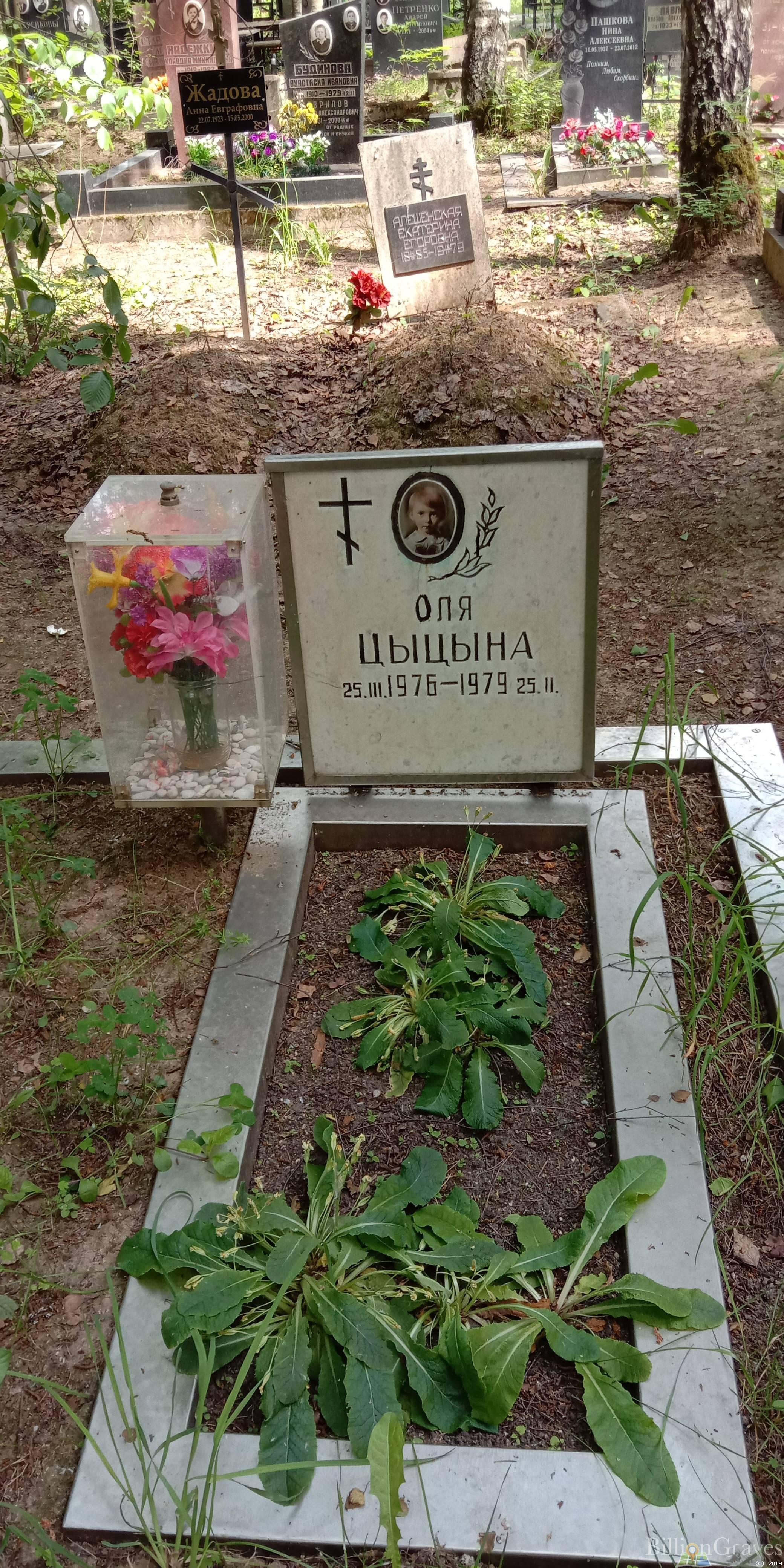 Цыцына Оля