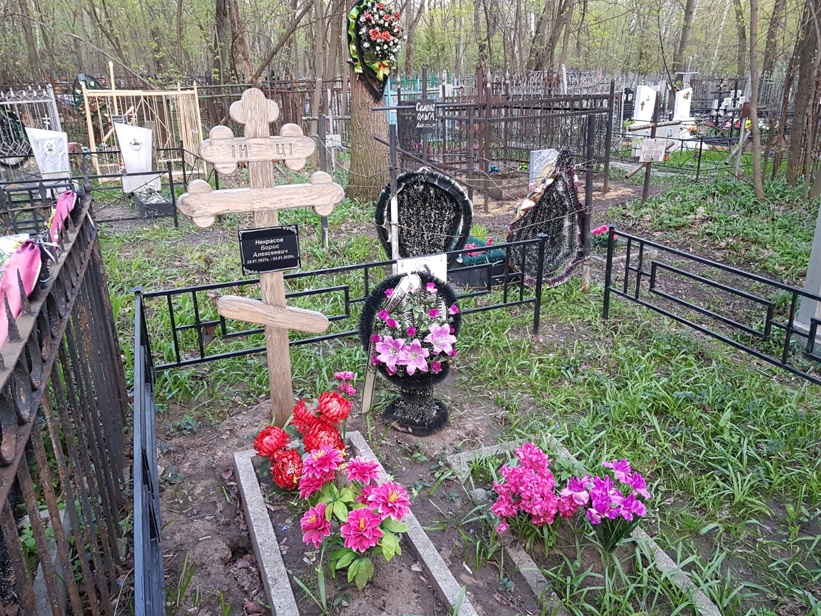 Некрасов Борис Алексеевич