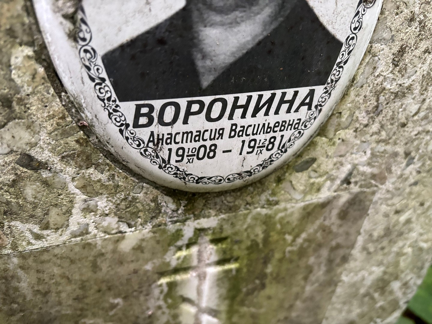 Воронина Анастасия Васильевна