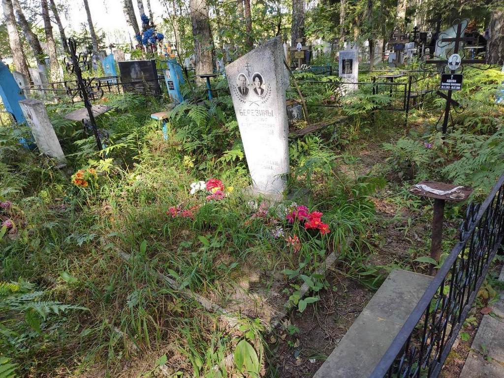 Березин Владимир Александрович