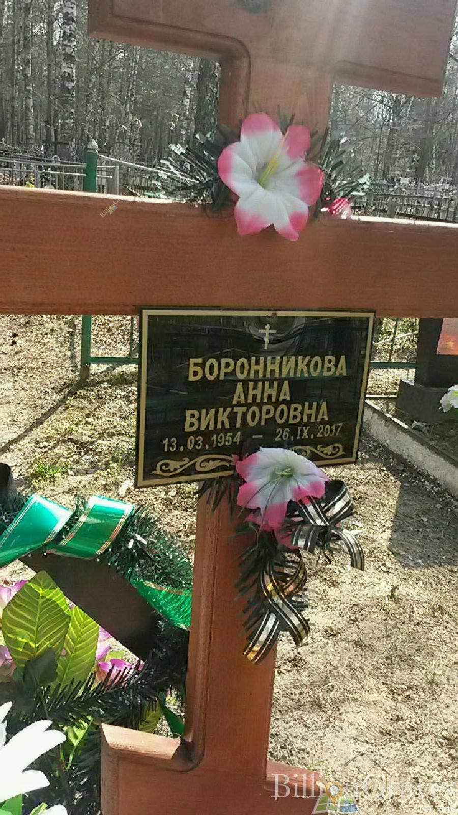 Боронникова Анна Викторовна
