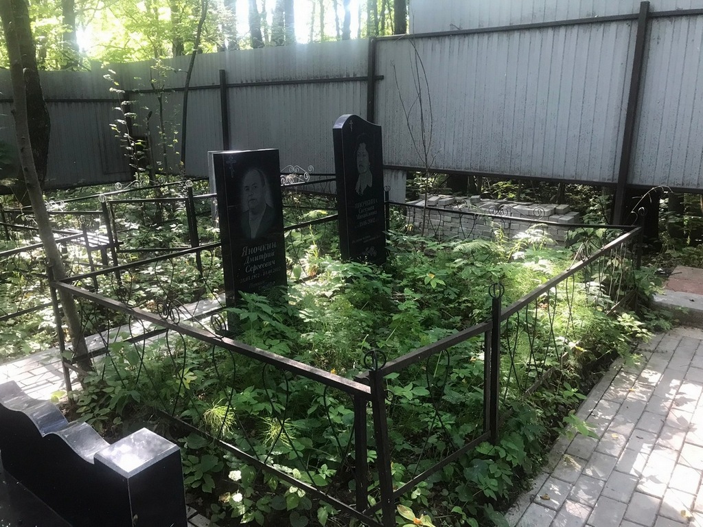 Яночкина Светлана Михайловна