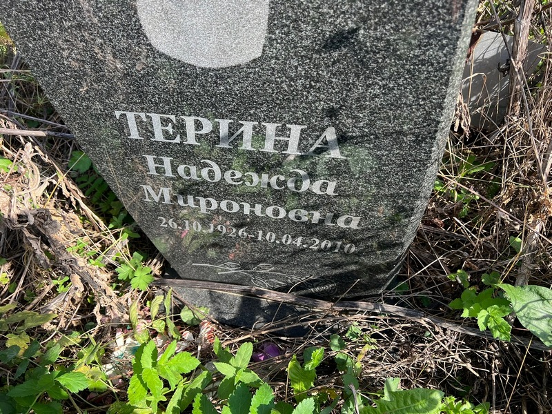 Терина