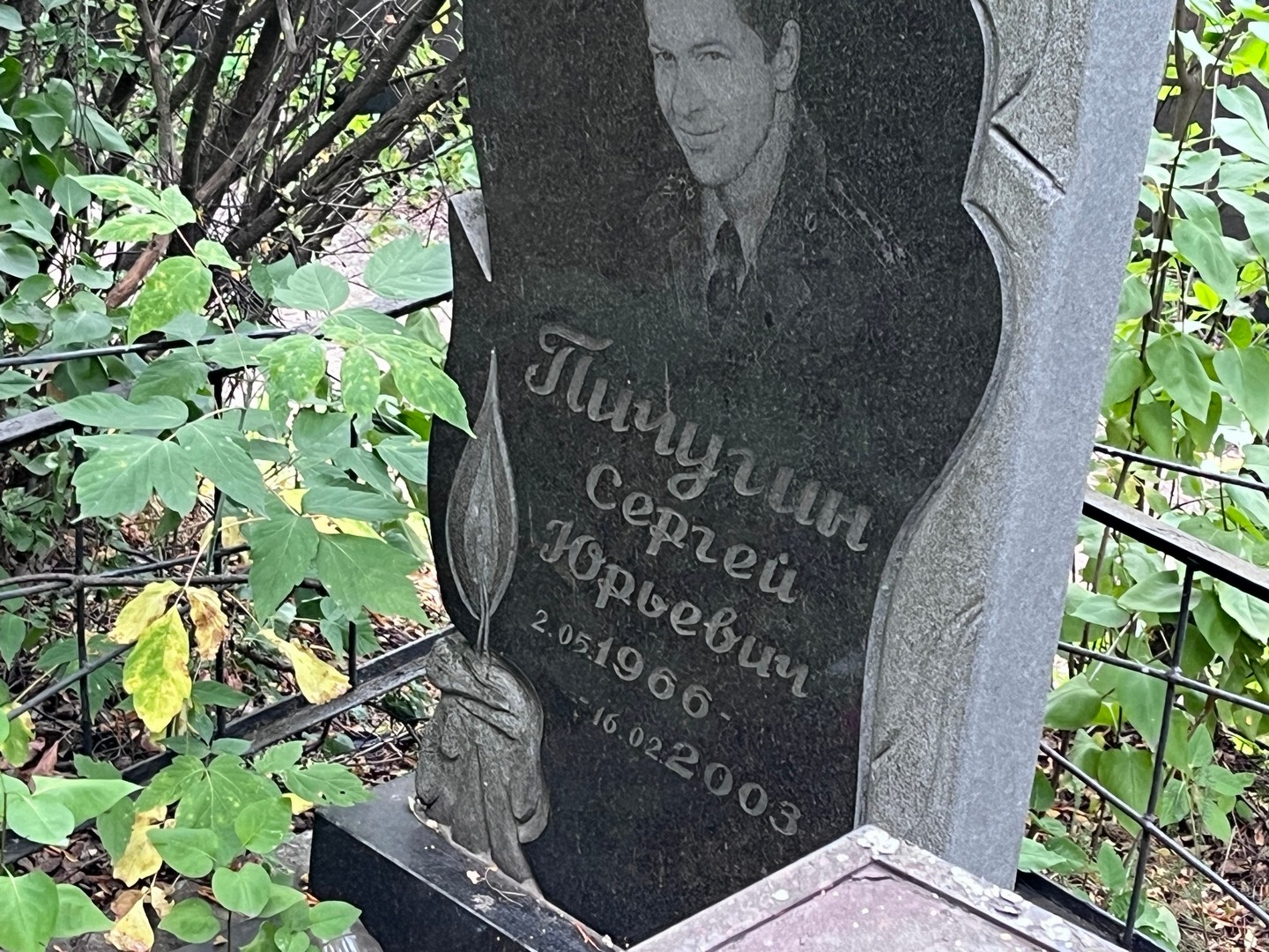 Пичугин