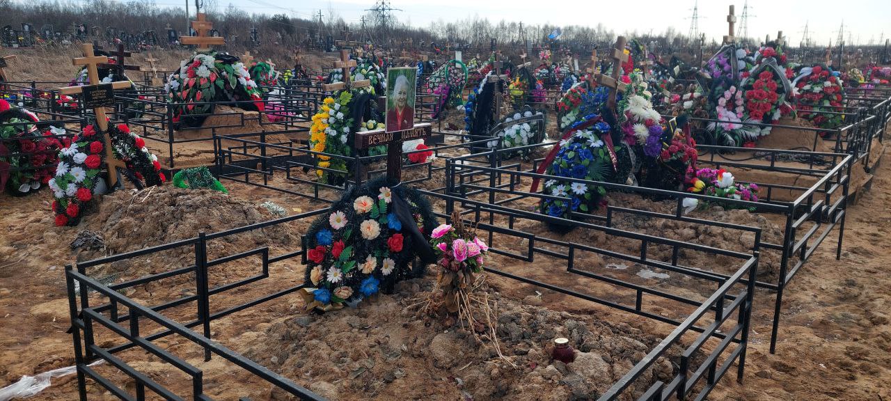 Рыбникова Александра Михайловна