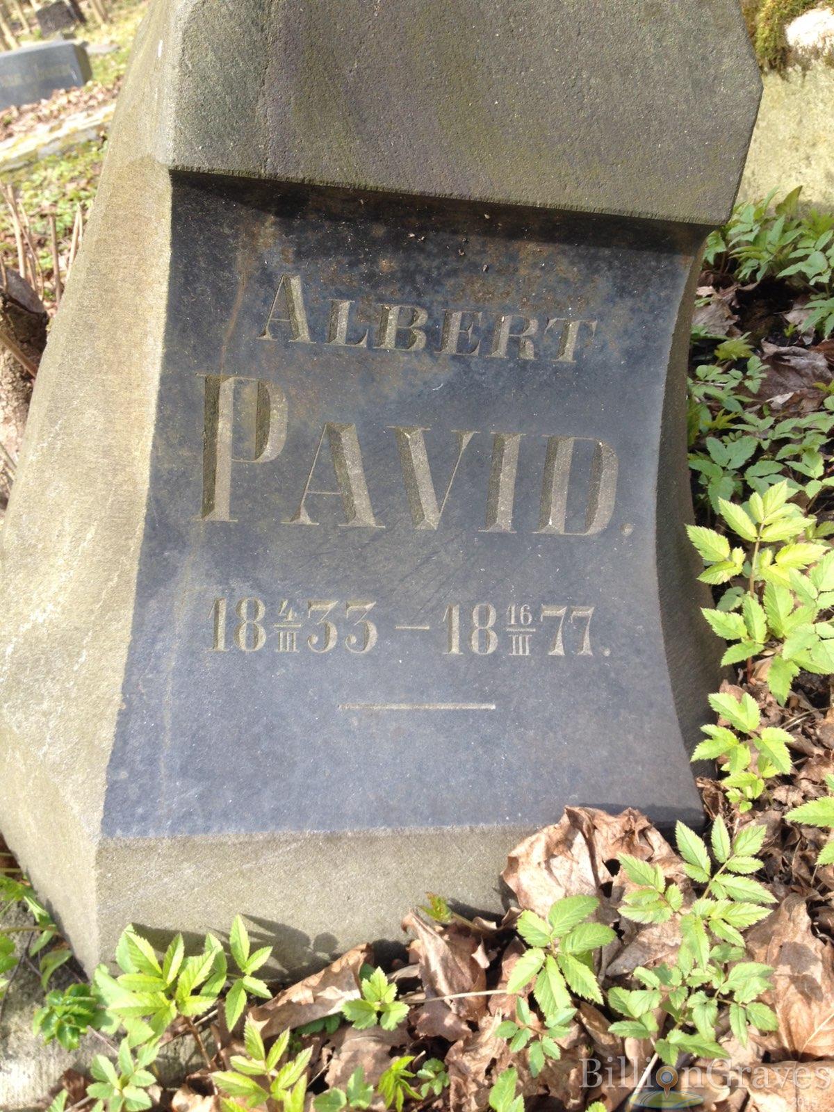 Pavid Albert