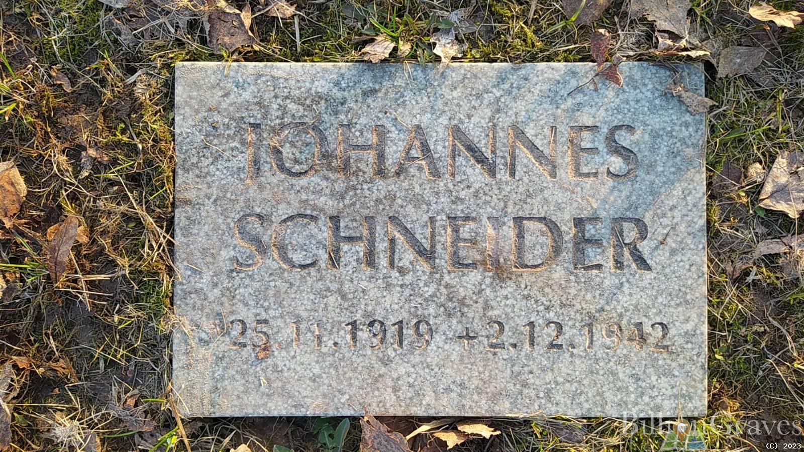 Schneider Johannes