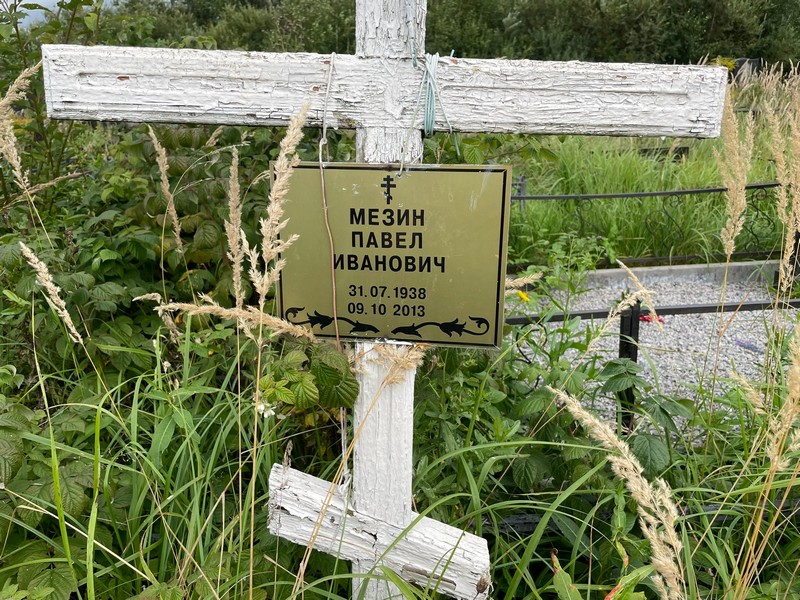 Мезин