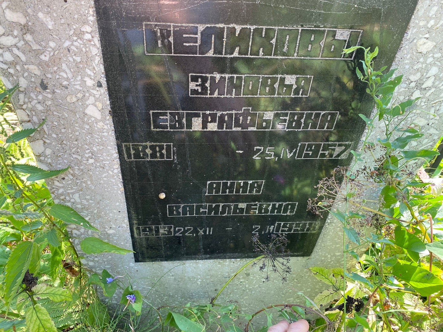 Зиновья Великова Евграфьевна