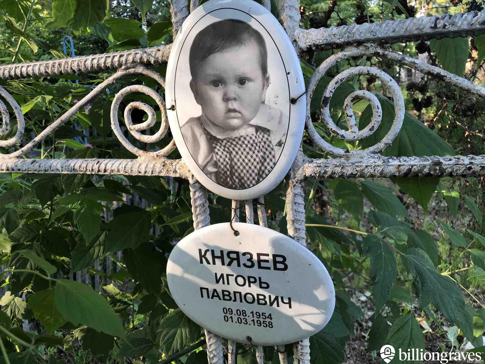 Князев Игорь Павлович
