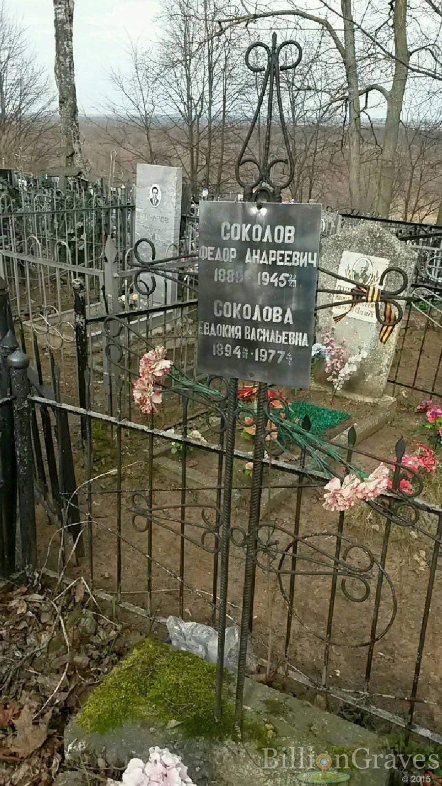 Соколов Федор Андреевич