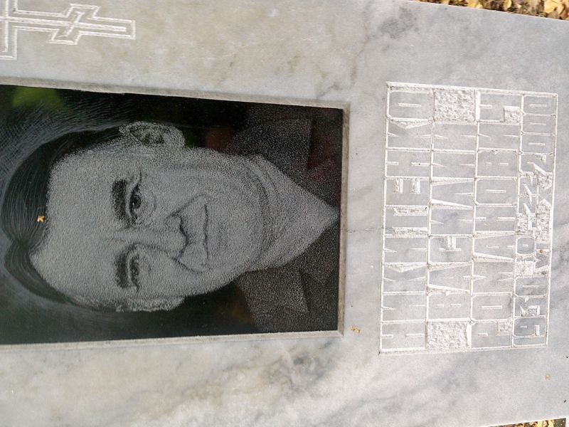 Никитенко