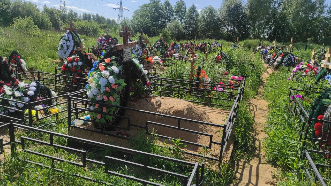 Веселов