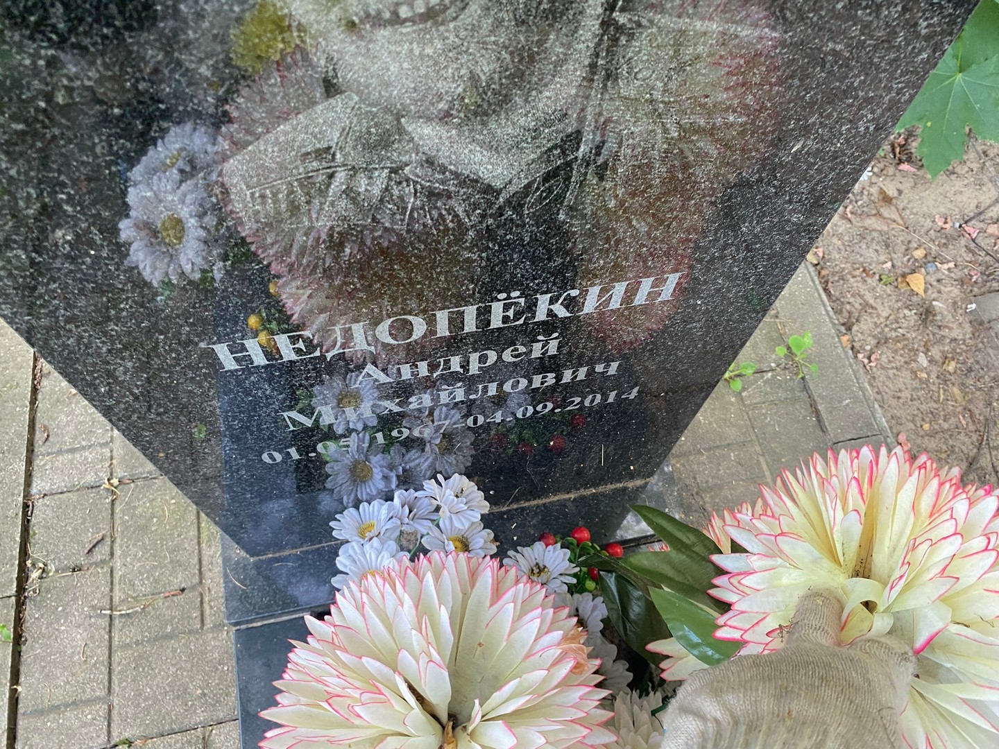 Недопекин